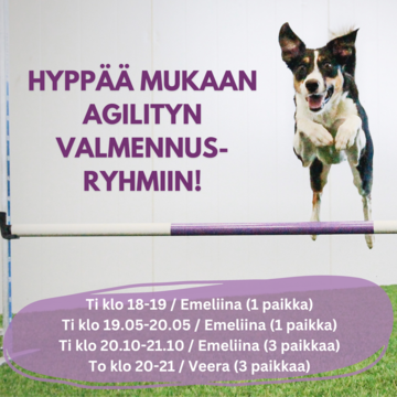 Agilityn valmennusryhmät