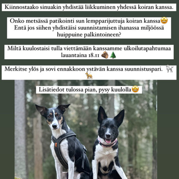LIIKUPÄIVÄ 18.11 / SUUNNISTUS / YKSITTÄISET LIIKUNTATUNNIT