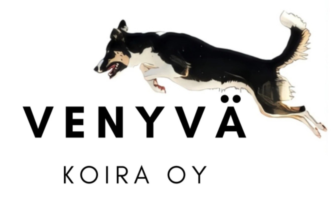 Venyvä Koira Oy